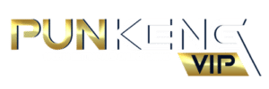punkengvip logo